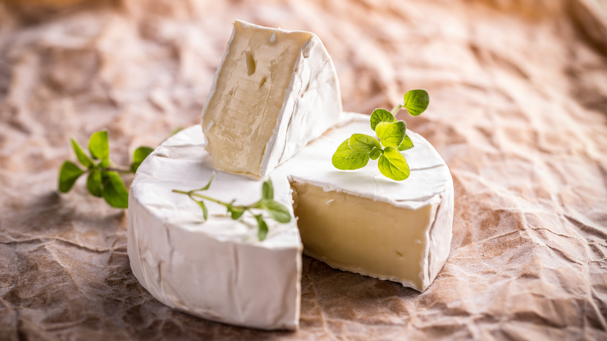 queso