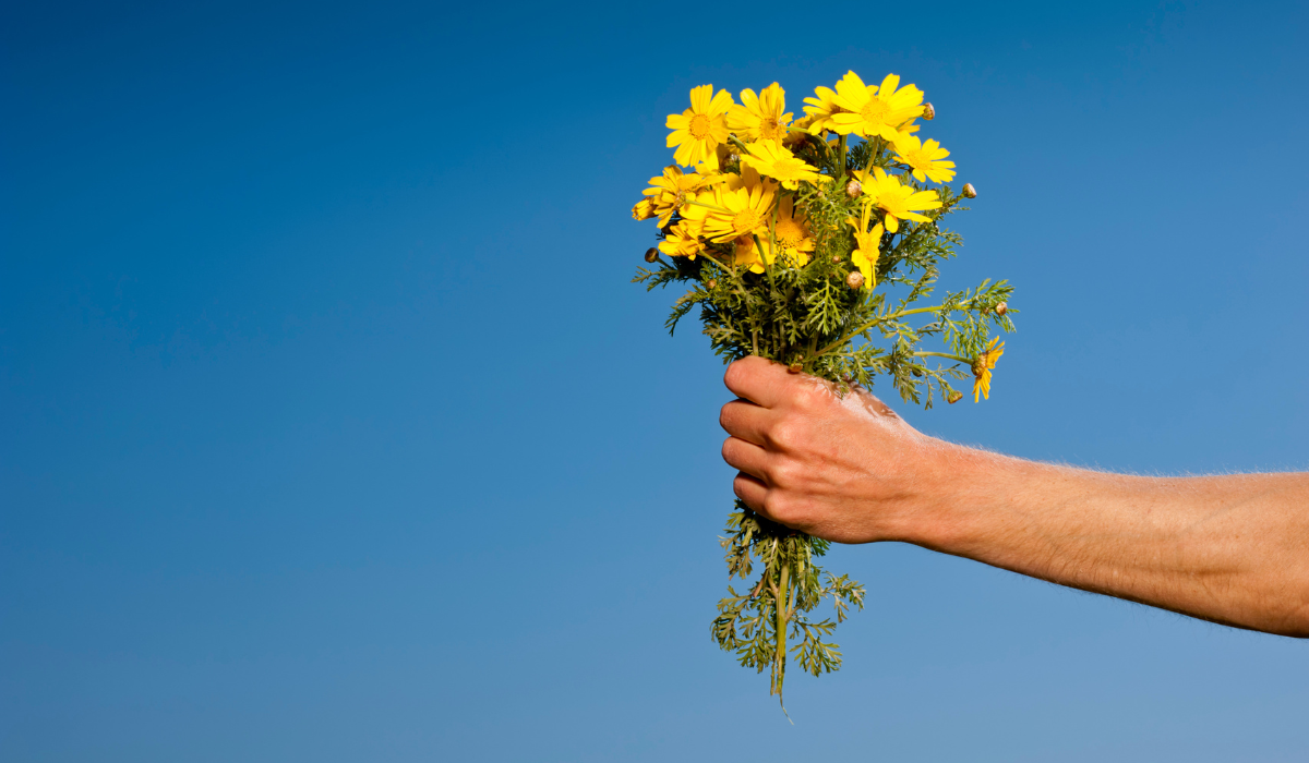 la historia detrás de las flores amarillas como símbolo de amor y renovación.