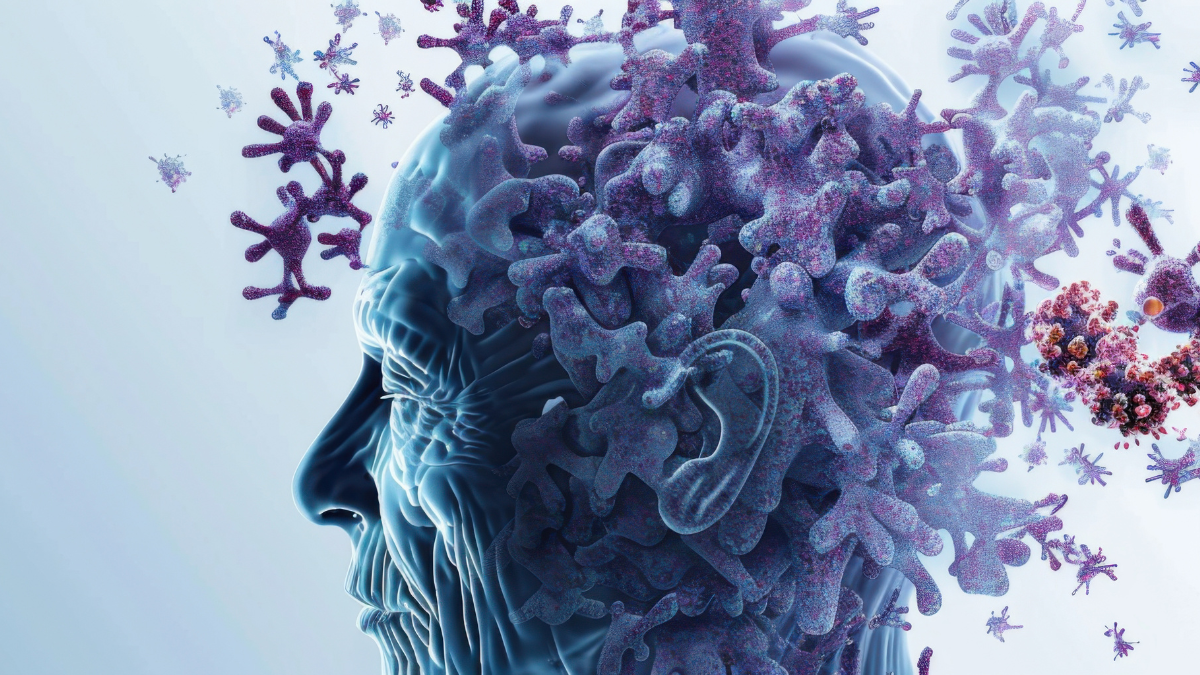 cerebro envejece
