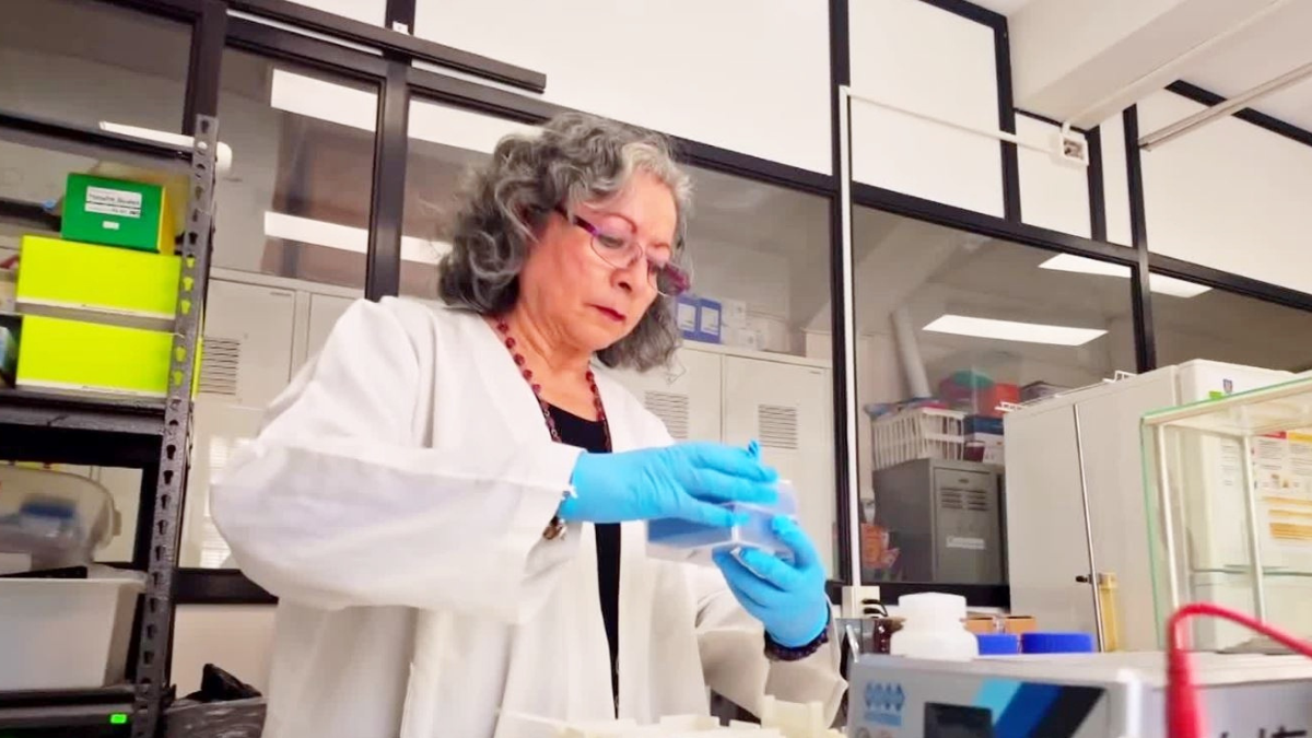 Científica chilena desarrolla probiótico que podría combatir el cáncer gástrico: Helicobacter pylori