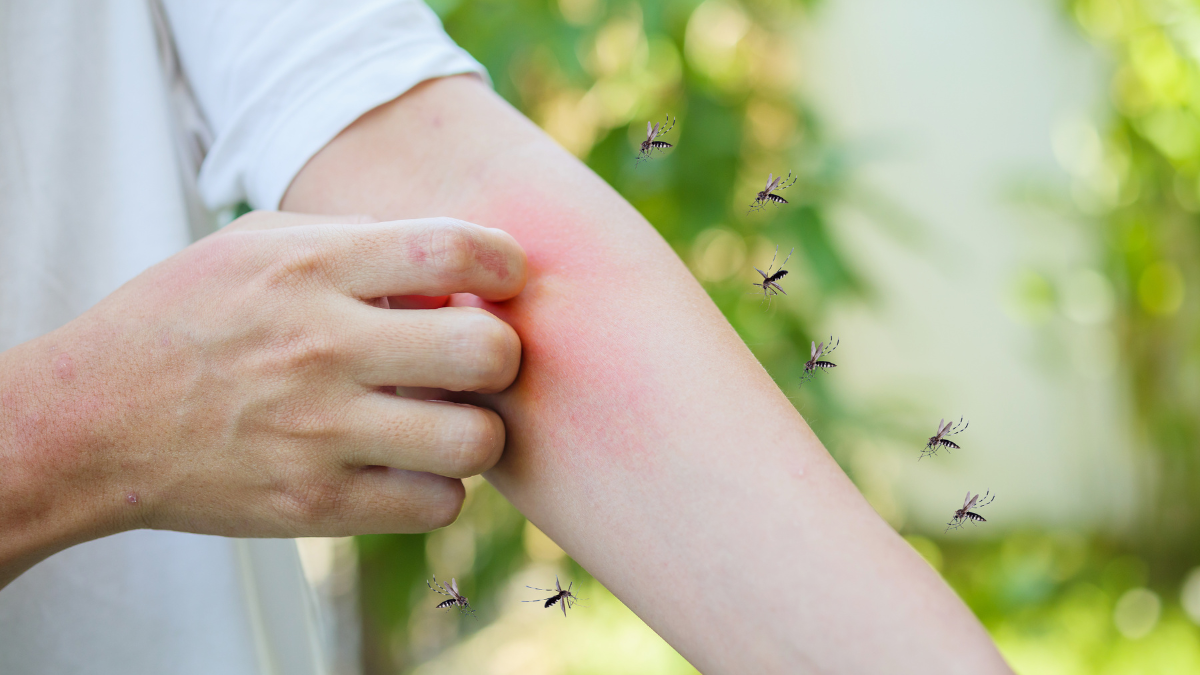 Los mosquitos si tiene una preferencia
