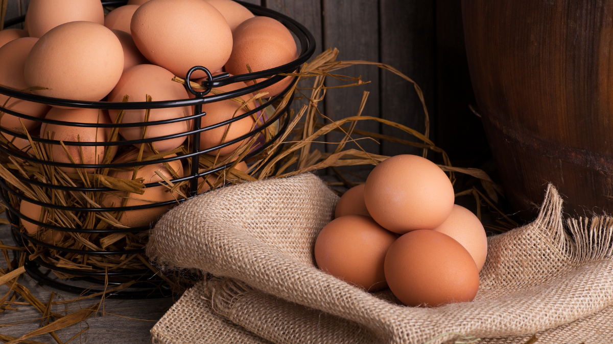 los huevos no son los culpables del colesterol alto