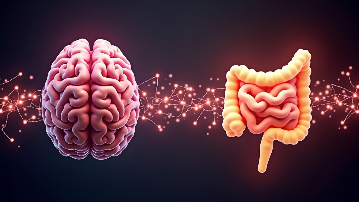 sexto sentido intestino cerebro